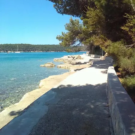 Apartament Palit